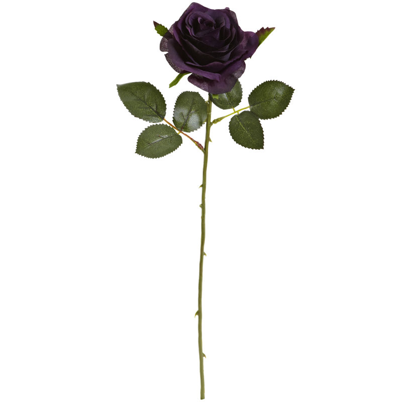 House of Hampton® Roses Stem & Reviews Wayfair